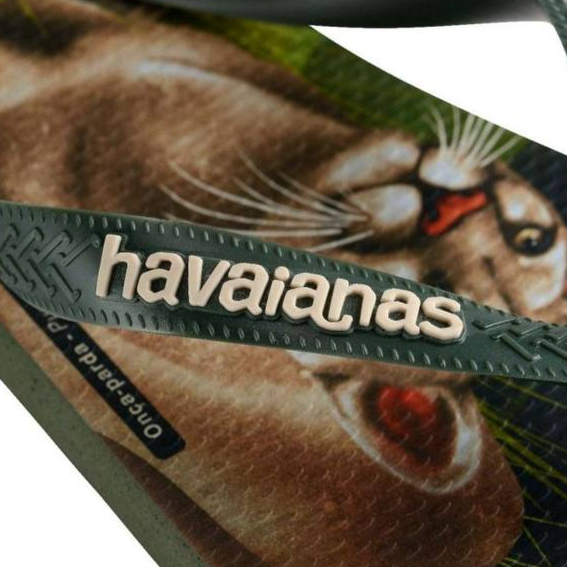 Havaianas Cougar