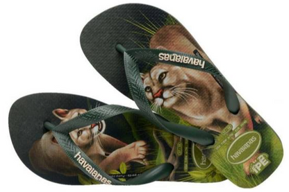 Havaianas Cougar