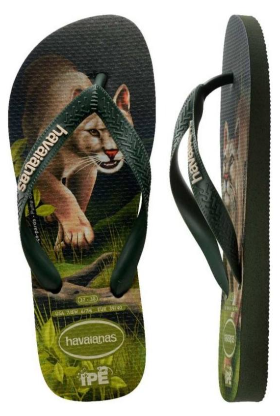 Havaianas Cougar