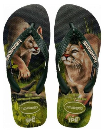 Havaianas Cougar